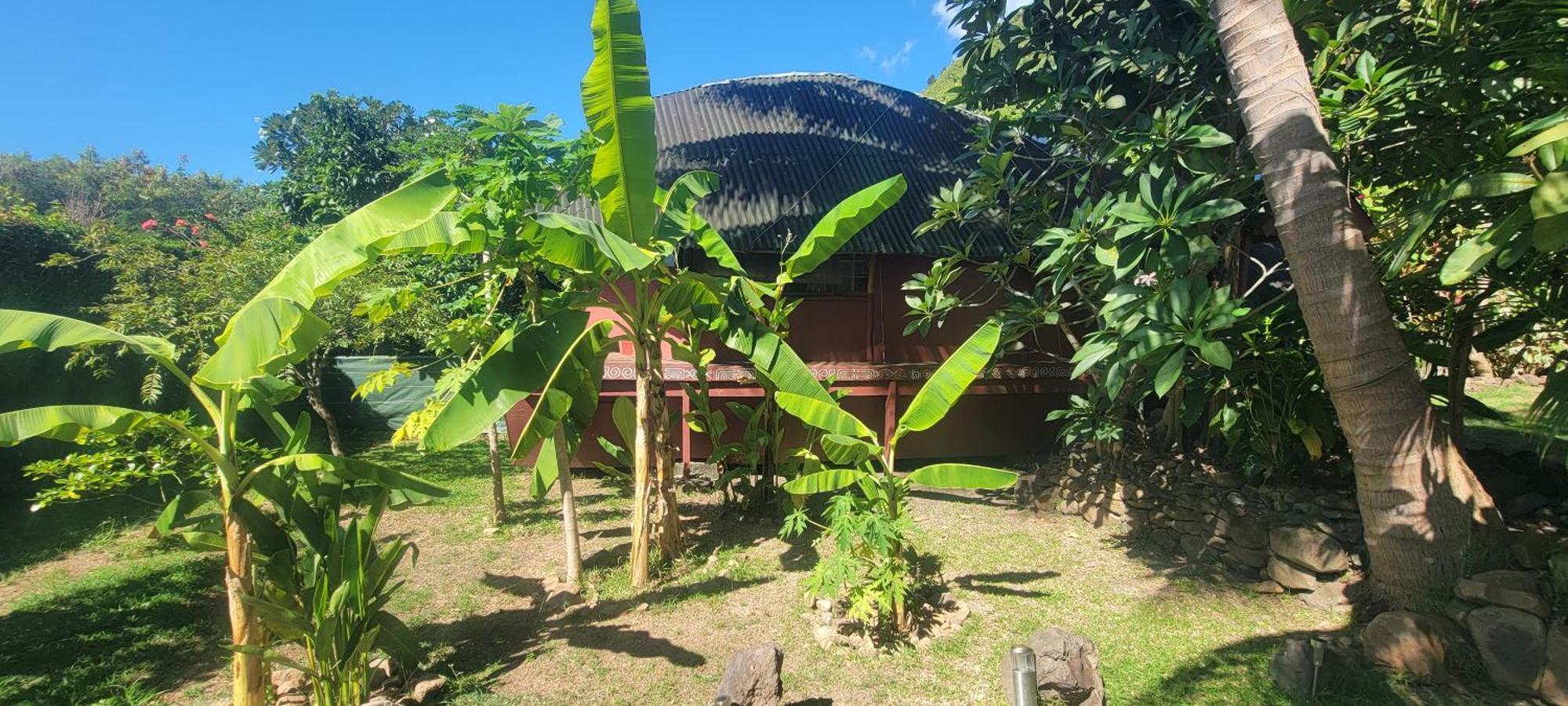 Location " La Pirogue " Maison D'Hotes A Moorea Haapiti Ngoại thất bức ảnh